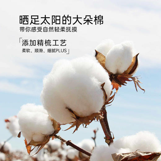 2025年春夏新品雅芳婷精梳全棉四件套田园风花卉印花被套床上用品 商品图1