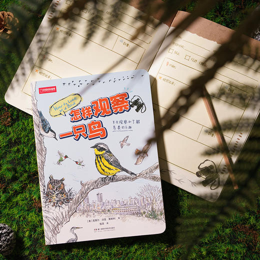《怎样观察一只鸟》克莱尔 观鸟手册 科普笔记-分销 商品图2