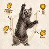 倍内菲猫粮 烘焙系列（48小时内发货，着急勿拍） 商品缩略图4