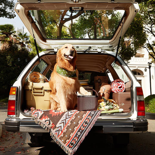 【4F】B&O Beosound A5 便携式音响 商品图4