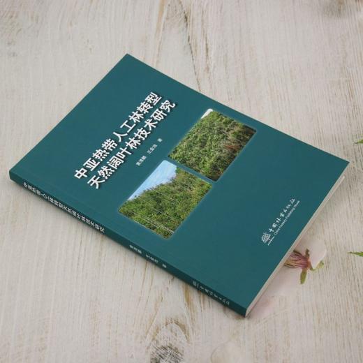 中亚热带人工林转型天然阔叶林技术研究 &3002 商品图3