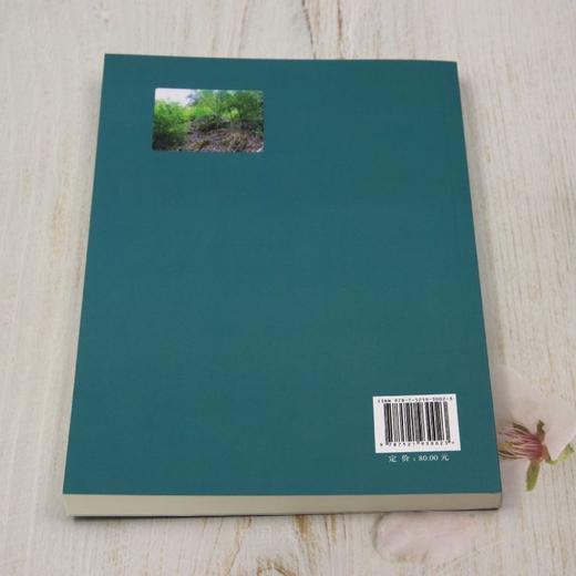 中亚热带人工林转型天然阔叶林技术研究 &3002 商品图1