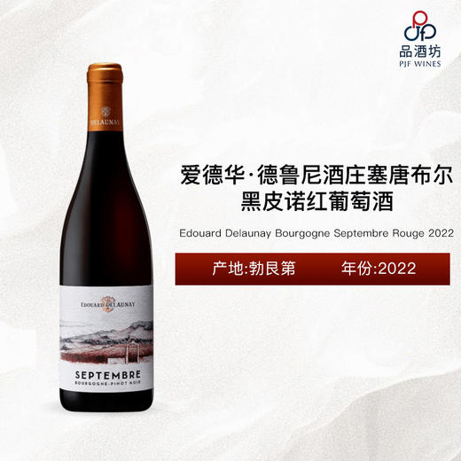 2022 Edouard Delaunay Bourgogne Septembre Rouge 爱德华·德鲁尼酒庄塞唐布尔黑皮诺红葡萄酒 商品图0
