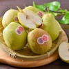新疆库尔勒香梨6粒650g/盒（皮薄肉细） 商品缩略图0