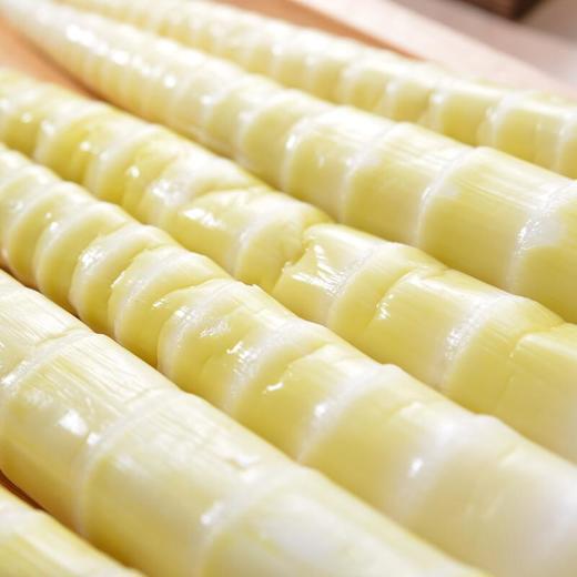 火锅脆笋尖 笋子 约250g/袋 商品图1