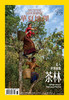 《华夏地理》杂志2025年1月刊-寻找坚韧号 探索北极洞穴 消灭掠食者 “复活”的陶俑 商品缩略图0