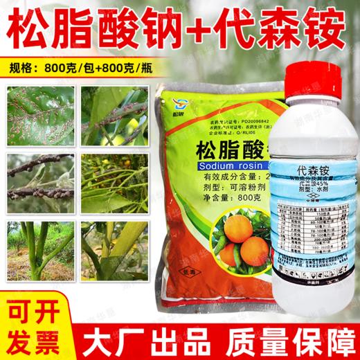 松脂酸钠代森铵杀青苔果树清园剂柑橘铁皮石斛杨梅蚧介壳虫杀虫剂 商品图1