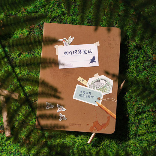 《怎样观察一只鸟》克莱尔 观鸟手册 科普笔记-分销 商品图5