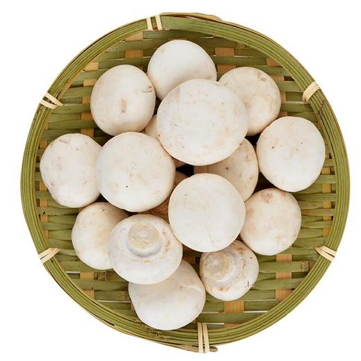 蘑菇 约200g/份（新鲜） 商品图2