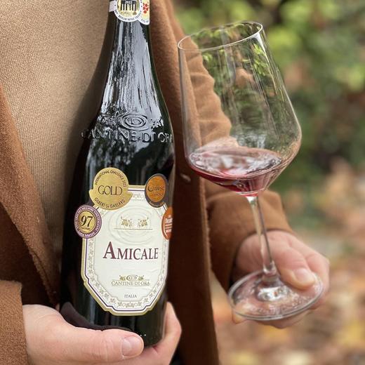 【97分+多金奖】意大利阿玛可尼 饱满凝炼甘口的阿玛罗尼风格 Cantine Di Ora Amicale 2020 商品图2
