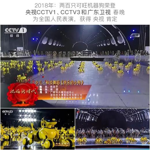 天博智 TBZ可旺三代AI智能仿生机器狗宠物编程启蒙教育机器人 可旺3代 商品图1