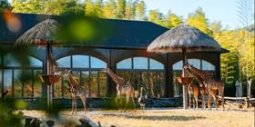 湖州长颈鹿庄园丨林景房3天2晚