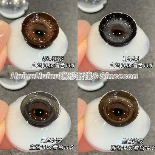 【春节不打烊】【半年抛大直径】sincecon-半年抛合集-浆果茶茶/野生果果/缅因灰/麋鹿巧/奶油杯-14.5mm【0-800度 无525/575】 商品图1