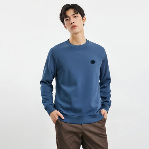 【桑蚕丝混纺】罗蒙春秋款胸花绣花卫衣男士休闲百搭男纯色卫衣长袖圆领T恤上衣男 商品图4