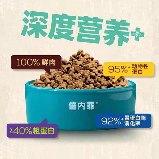 倍内菲狗粮 烘焙系列（48小时内发货，着急勿拍） 商品图4