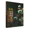 老挝药用植物图鉴② &2986 商品缩略图0