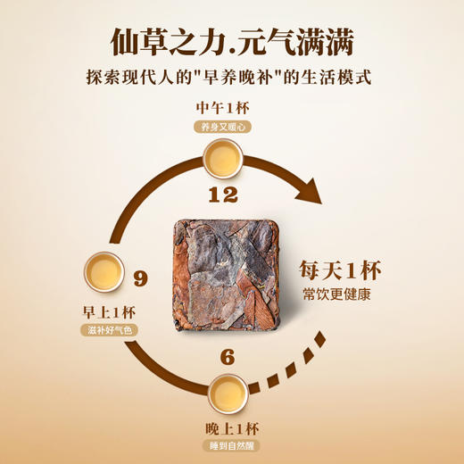 元生泰 紫芝白茶3g*16泡/盒 武夷山紫灵芝切片配比福鼎老白茶 商品图3