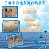 翅子之心 商品缩略图1