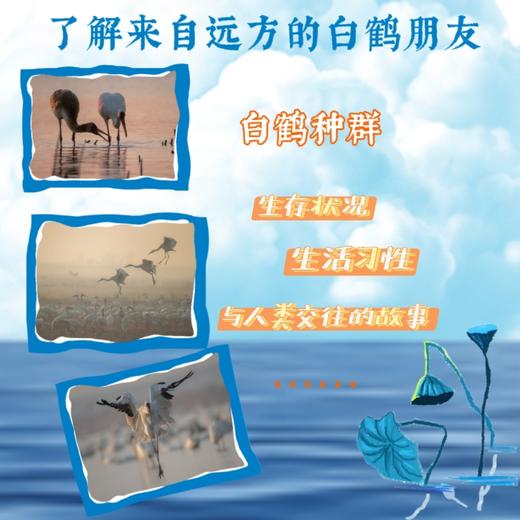 翅子之心 商品图1