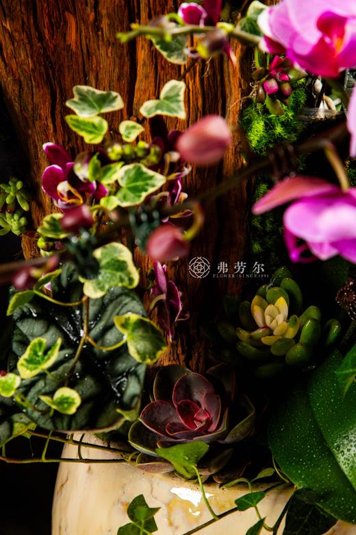 蛇通广大 商品图7