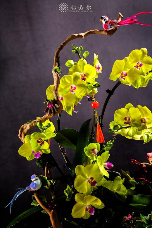 金蛇贺岁 商品图1