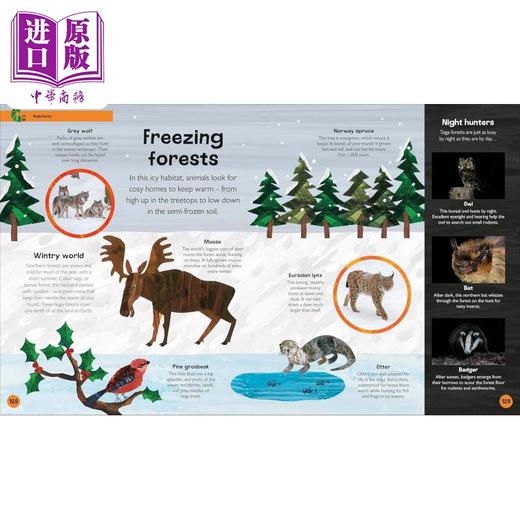【中商原版】毛毛虫的百科全书 地球 The Very Hungry Caterpillars Very First Earth Encyclopedia 英文原版 儿童科普 精装 商品图4
