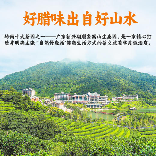 【体坛先锋30周年隆重推介】新兴象窝山现煮腊味双拼煲仔饭 商品图5