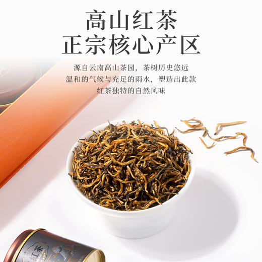 【臻尖-滇红相遇红运橙色礼盒】茶叶礼盒装特级滇红茶送人送礼长辈年货礼盒节日伴手礼官方正品 商品图3