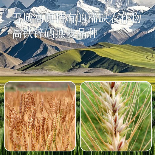 【39.9元2大桶】【优膳恒藏血麦片】好营养好健康，可以泡牛奶豆浆，提高膳食纤维摄入量~ 商品图2