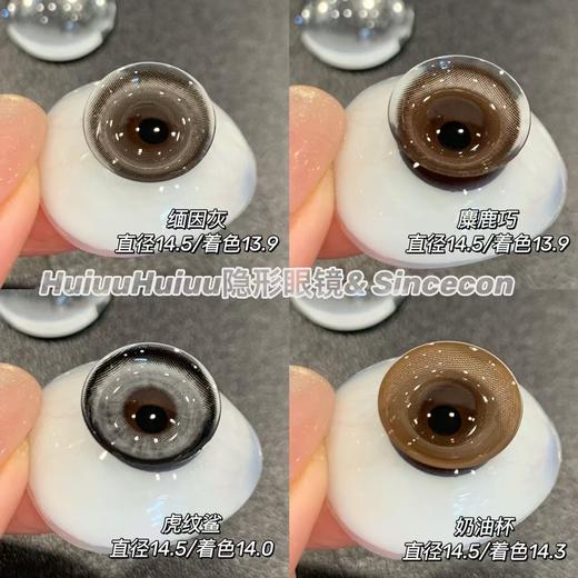 【春节不打烊】【半年抛大直径】sincecon-半年抛合集-浆果茶茶/野生果果/缅因灰/麋鹿巧/奶油杯-14.5mm【0-800度 无525/575】 商品图2