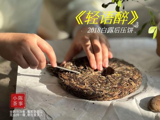 【会员福利】2018白露后压饼《轻语醉》，7年来初次亮相，浓郁枣香氤氲撩人，茶汤清润，柔甜香蜜（1饼装） 商品图6