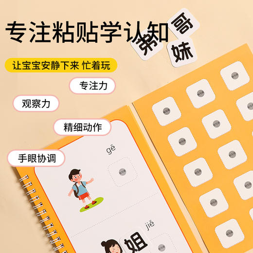 【8大主题 轻松学汉字】幼儿识字早教安静书 308个汉字 丰富孩子识字量 看图识字 科学引导 让宝宝安静下来 锻炼专注力 商品图3