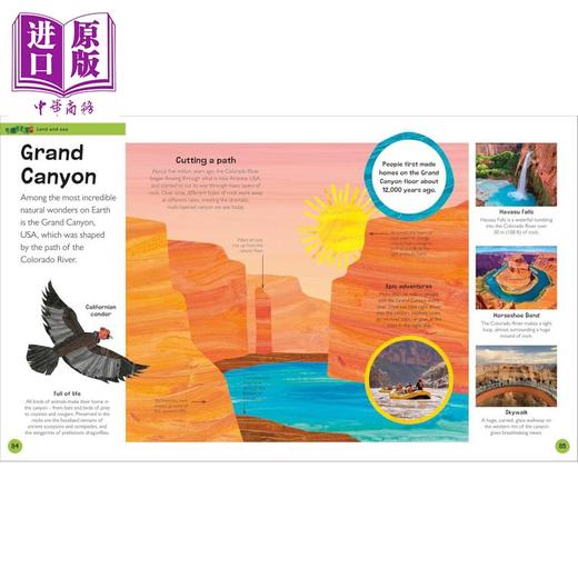 【中商原版】毛毛虫的百科全书 地球 The Very Hungry Caterpillars Very First Earth Encyclopedia 英文原版 儿童科普 精装 商品图2