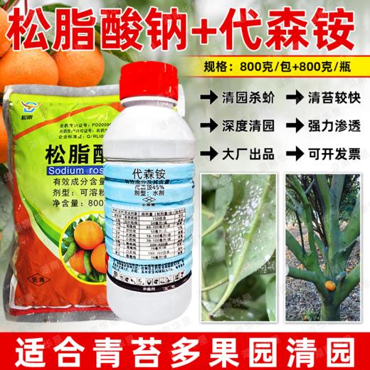 松脂酸钠代森铵杀青苔果树清园剂柑橘铁皮石斛杨梅蚧介壳虫杀虫剂 商品图3