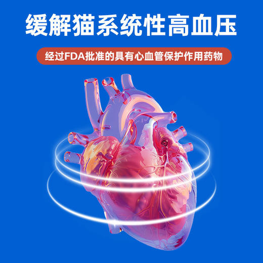 澳龙咪莎平替米沙坦内服溶液专猫咪专用肾衰药慢性肾病口服液30ml 商品图2