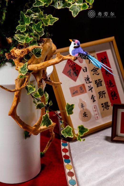 丰衣足蛇 商品图3