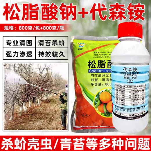 松脂酸钠代森铵杀青苔果树清园剂柑橘铁皮石斛杨梅蚧介壳虫杀虫剂 商品图0