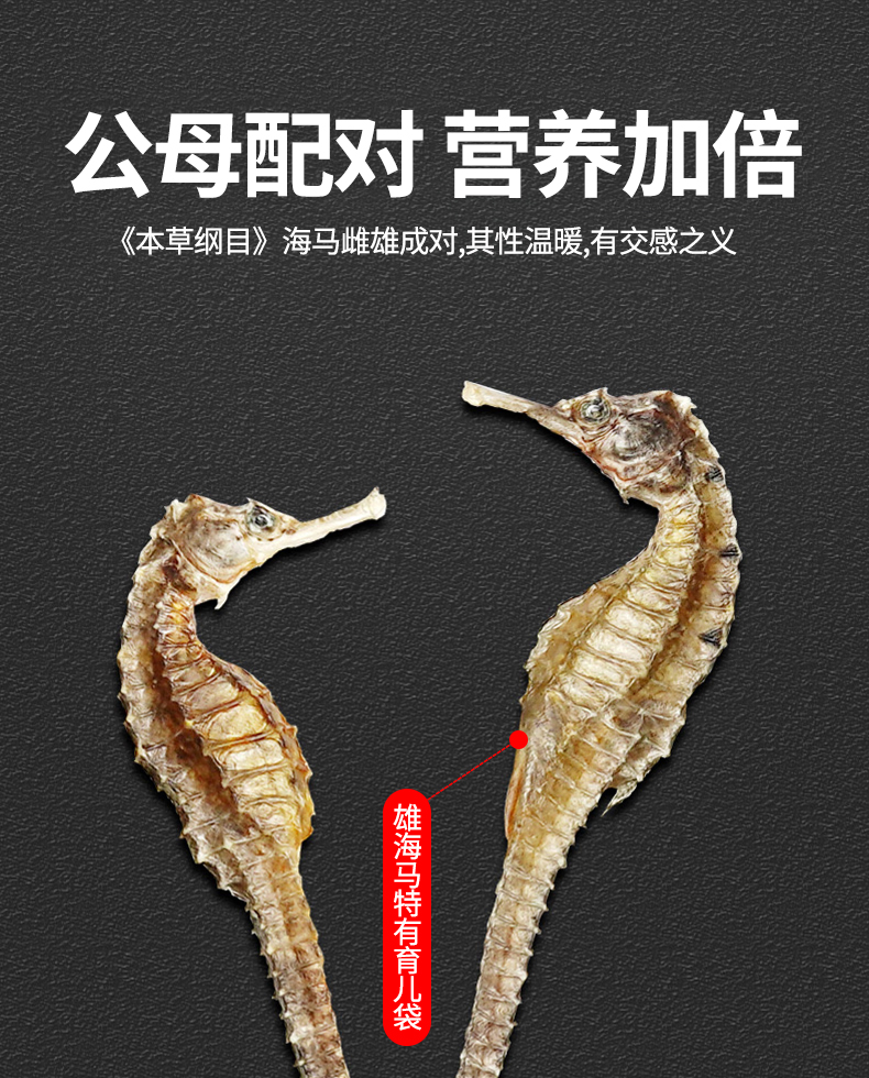 海马中药饮片 华瑞天丞三斑公母配对·带标识 煲汤滋补泡酒药材小包装