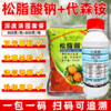 松脂酸钠代森铵杀青苔果树清园剂柑橘铁皮石斛杨梅蚧介壳虫杀虫剂 商品缩略图4