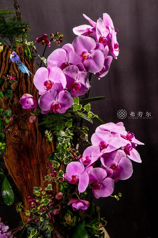 蛇通广大 商品图2