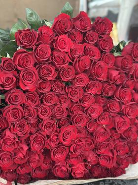 【探访基地】-外购玫瑰高原红