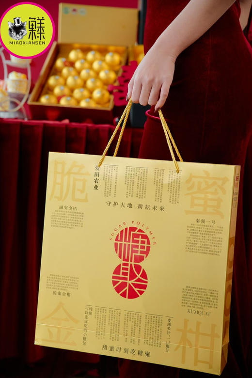 糖聚之致～高山脆蜜金柑（32粒-36粒礼盒） 商品图14