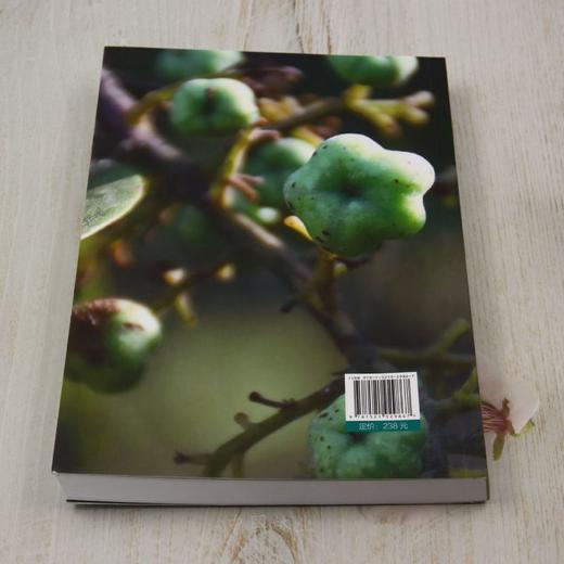 老挝药用植物图鉴② &2986 商品图4