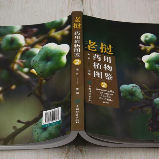 老挝药用植物图鉴② &2986 商品图2