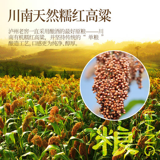 泸州老窖 生肖酒60°整箱 商品图7