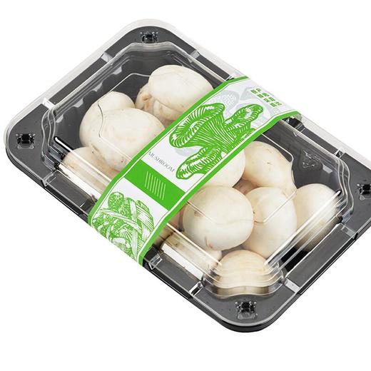 蘑菇 约200g/份（新鲜） 商品图4