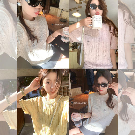 <曾小咸推荐> 3色短袖针织衫T恤 商品图0