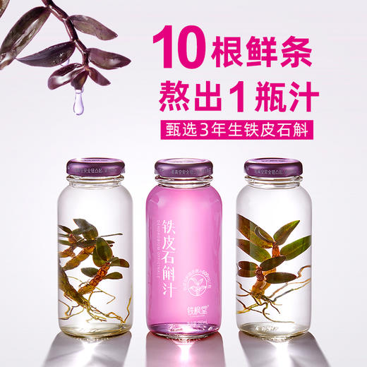 【单周套餐1箱】【10根鲜条熬出1瓶石斛汁 】宽汤久煎更滋养 铁枫堂铁皮石斛汁 林下种植雁荡山铁皮石斛 配料表纯净180ml*7瓶装 商品图1