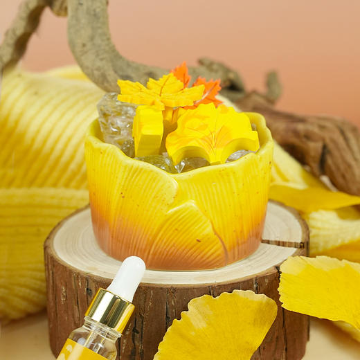 Aroma Light業旺蛇年新款香薰礼盒 商品图2