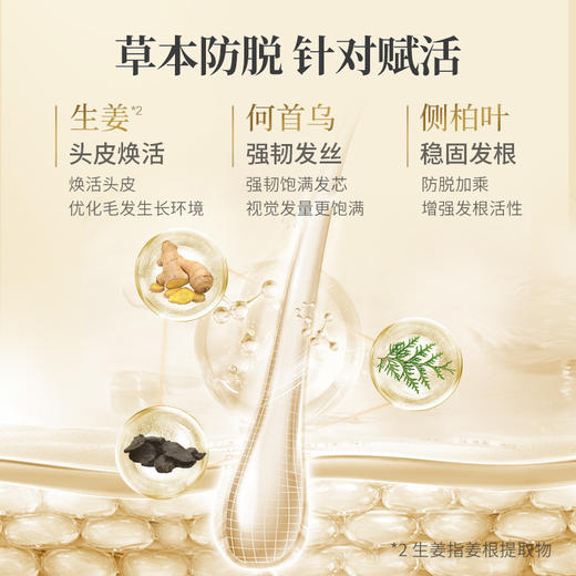 阿道夫防脱洗护专研洗发水(防脱固发)500ml 商品图4